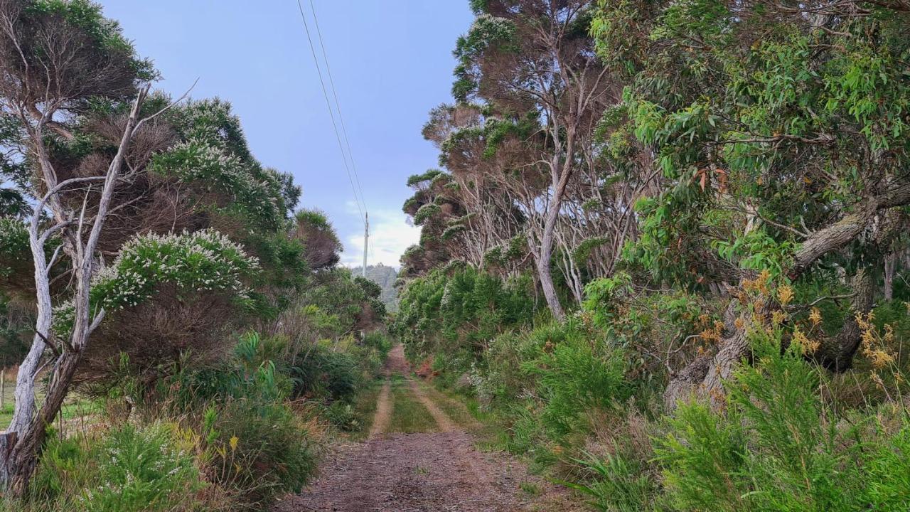 Cape Howe Cottages Lowlands المظهر الخارجي الصورة